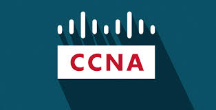 CCNA Nedir? Network ve Networkle İlgili Temel Kavramlar