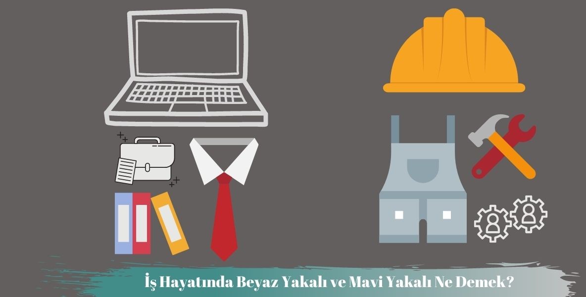İş Hayatında, Yaka Renklerini Anlama