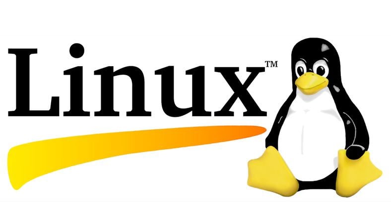 Fransa’dan 10.000 bilgisayarı etkileyen karar: Windows gidiyor, Linux geliyor!